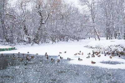 Прикрепленное изображение: z3_HgcesuDU.jpg